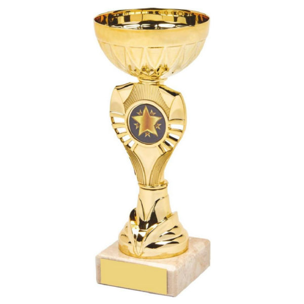Gold Bowl Award 16.5 cm