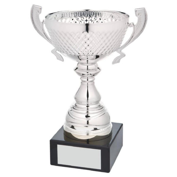 Silver Patterned Bowl Award with Handles 23.5 cm