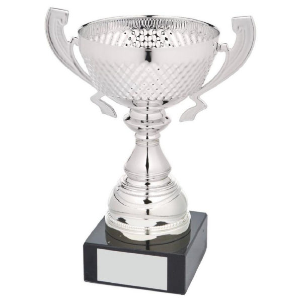 Silver Patterned Bowl Award with Handles 20 cm