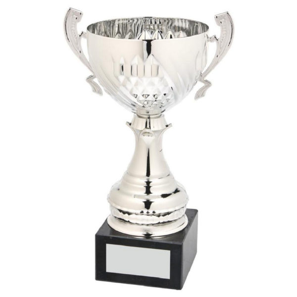 Silver Presentation Cup With Handles 27 cm