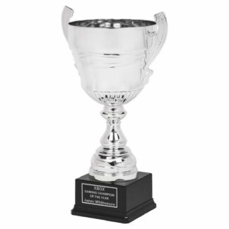 Silver Presentation Cup with Handles 51 cm