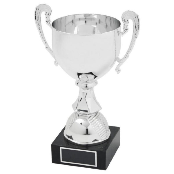 Silver Presentation Cup with Handles 21.5 cm