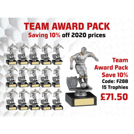 Team Award Pack Containing x 15 A0222A Complete