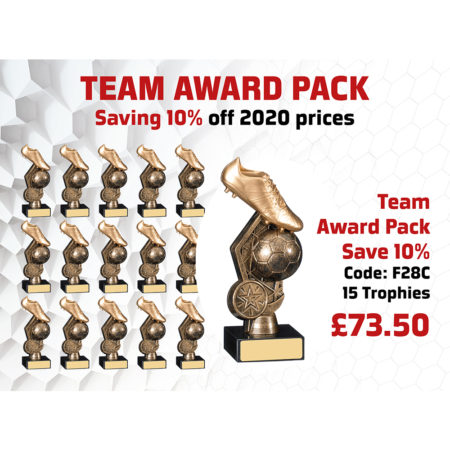 Team Award Pack  Containing x 15 A0223A Complete