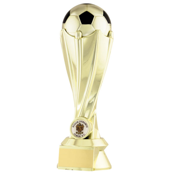 Mirror Gold Lazer Football Award 190mm