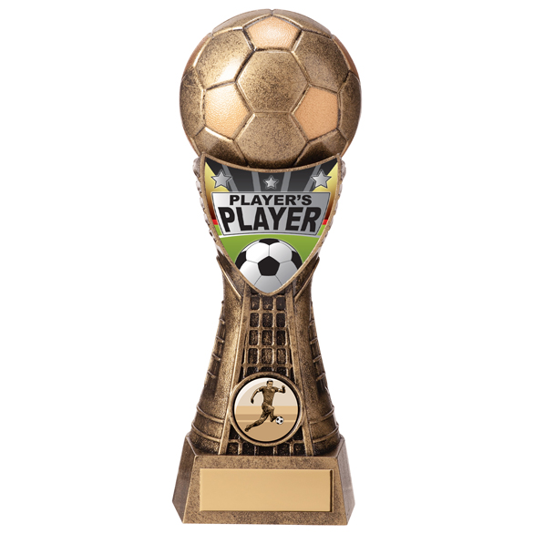 Valiant Football Player's Player Award Classic Gold 205mm