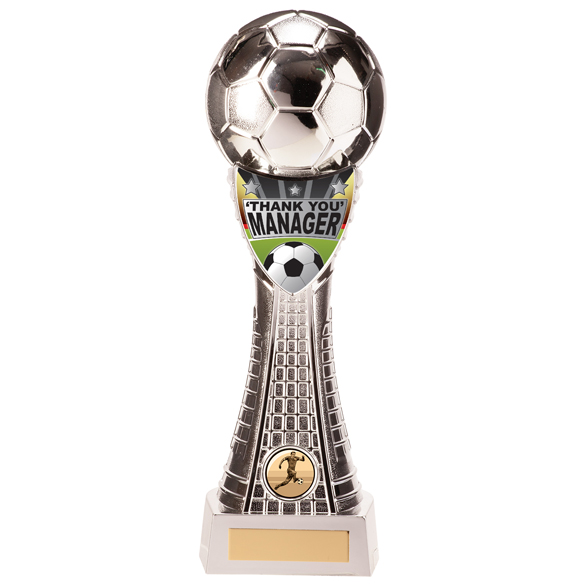 Valiant Football Manager Thank you Award Silver 290mm
