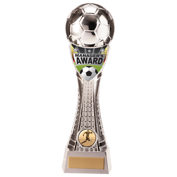 Valiant Football Manager's Player Award Silver 245mm