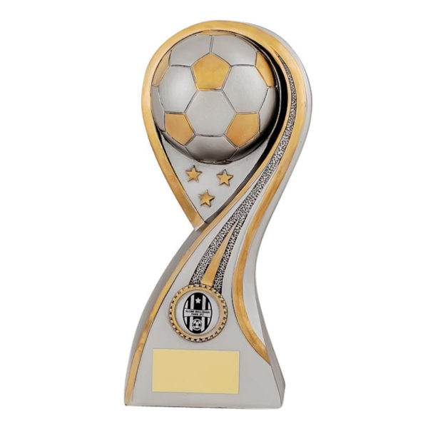 Resin Football Ball Award in Satin Silver and Gold highlights 125mm