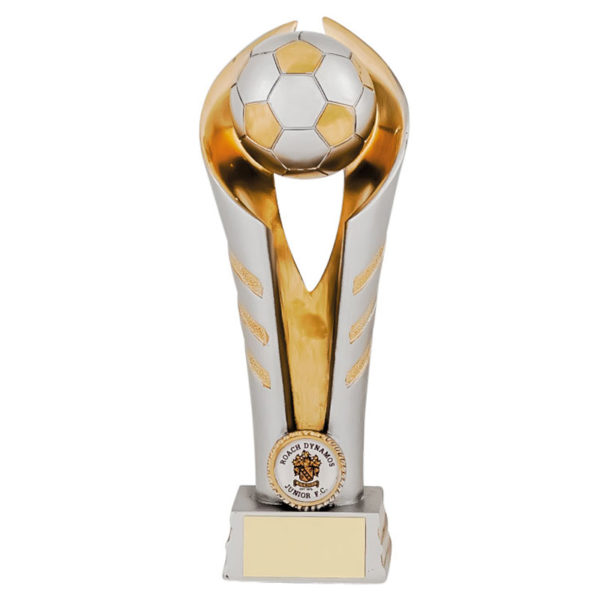 Resin Football Ball Award in Satin Silver and Gold highlights 225mm